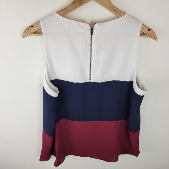 FAITH AND JOY | Color Block Sleeveless Blouse PL - Picture 6 of 8